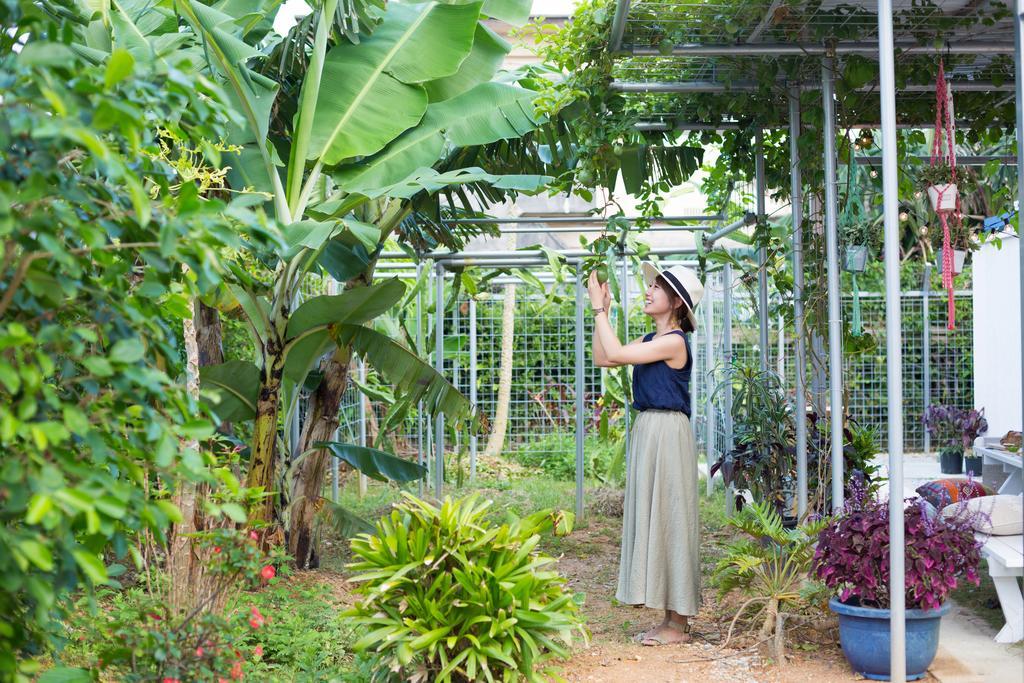 Hacobune Tinyhouse Onna Ngoại thất bức ảnh